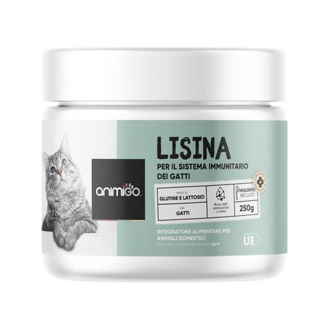 L-Lisina Polvere