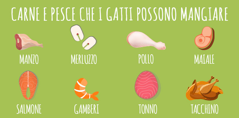 animigo-it-carne-e-pesce-che-i-gatti-possono-mangiare