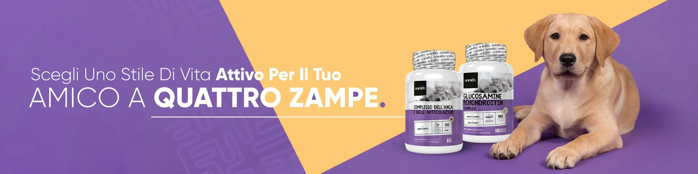 Amico-a-quattro-zampe