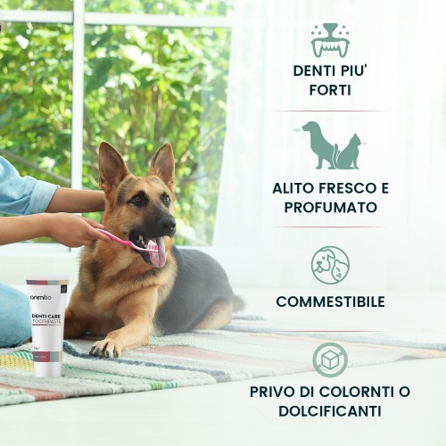 Denti Care Dentifricio Naturale Per Cani E Gatti Animigo