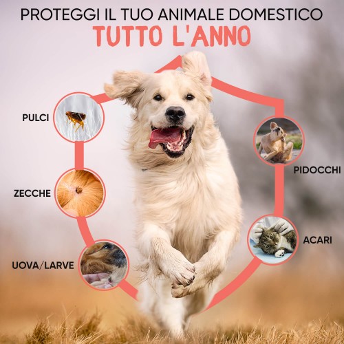 Polvere Antipulci, Repellente Antiparassitario per Cani e Gatti