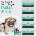 Infografica utilizzo gocce calmanti naturali cani e gatti Animigo, adatto a tutte le taglie e razze.