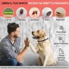 Infografica collare antipulci cane, protegge il cane da parassiti di ogni tipo. Collare zecche cani senza deet, insetticidi e sostanze tossiche