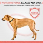 Infografica protezione completa del collare anti pulci Animigo per il tuo cane