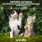 Benefici vermifugo naturale per gatti e cani Animigo
