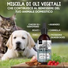 Ingredienti naturali Vermifugo Cani e Gatti Animigo in Gocce