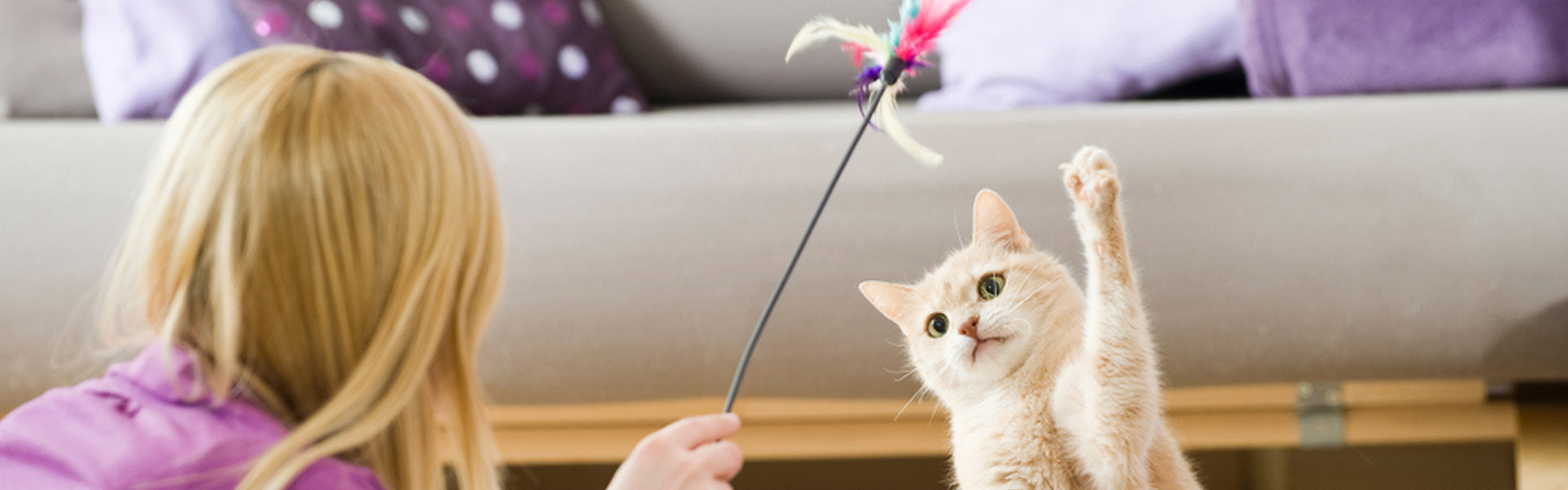 5 giochi di intelligenza per il gatto