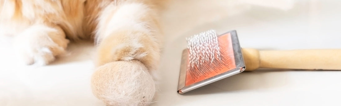 Palle di pelo nel gatto: un problema da non sottovalutare