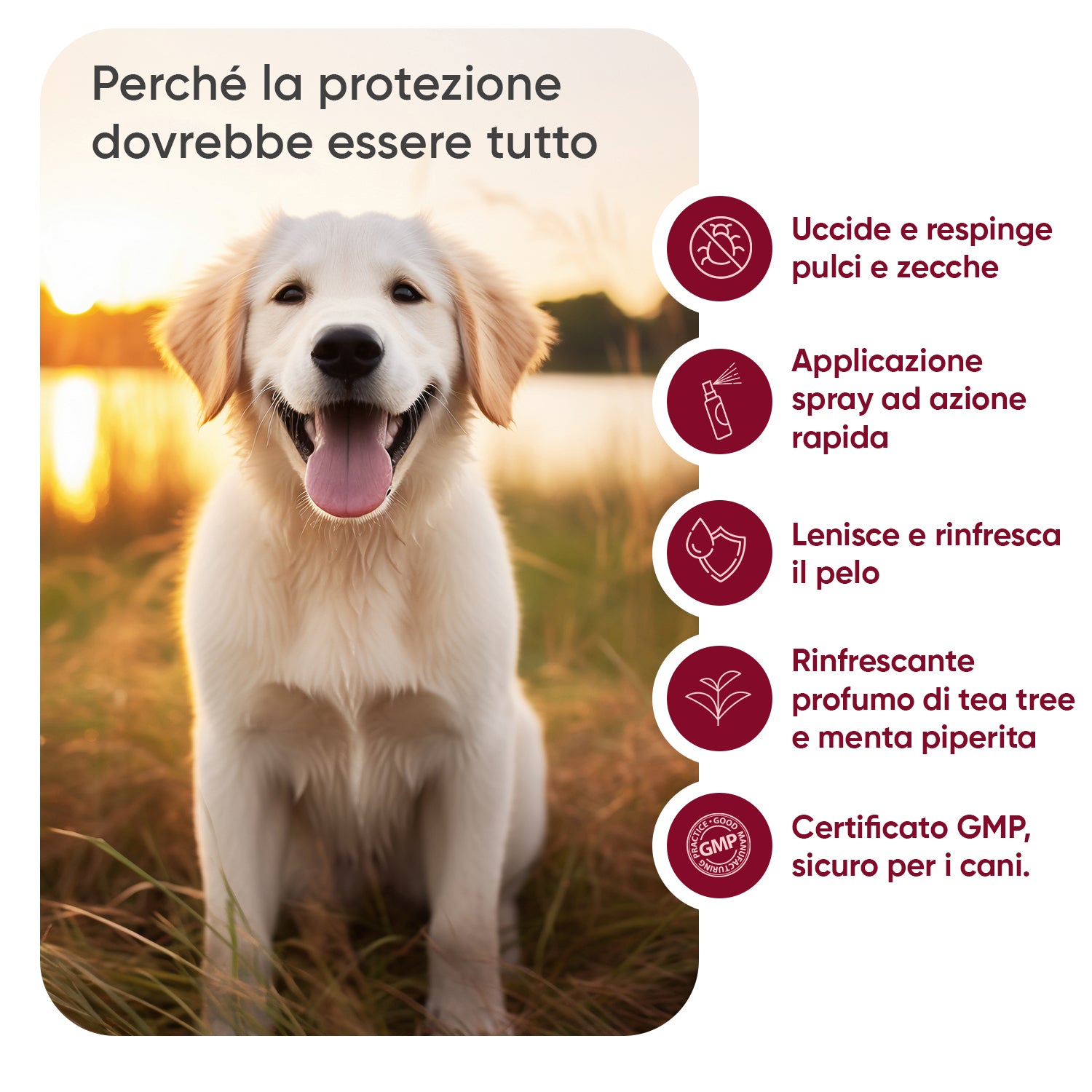 Controllo pulci e zecche 500 ml spray