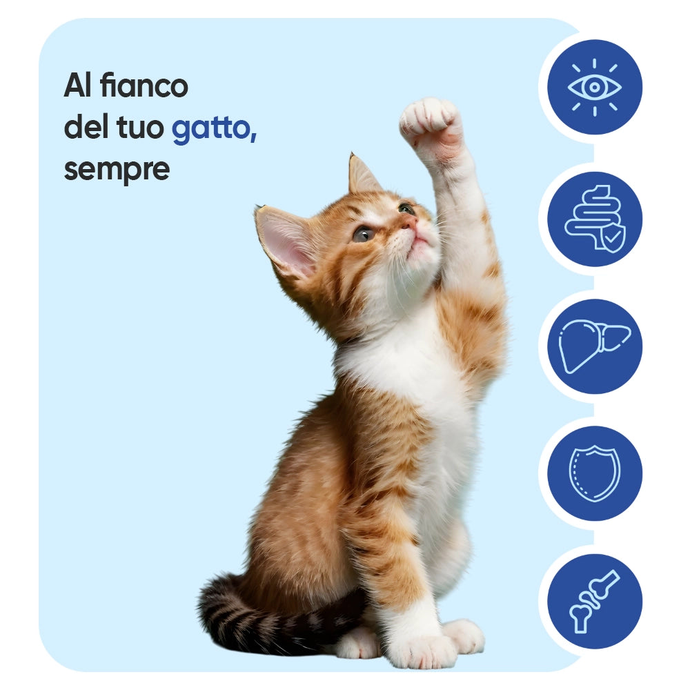 Multivitamine e Minerali per Gatti - 365 Compresse
