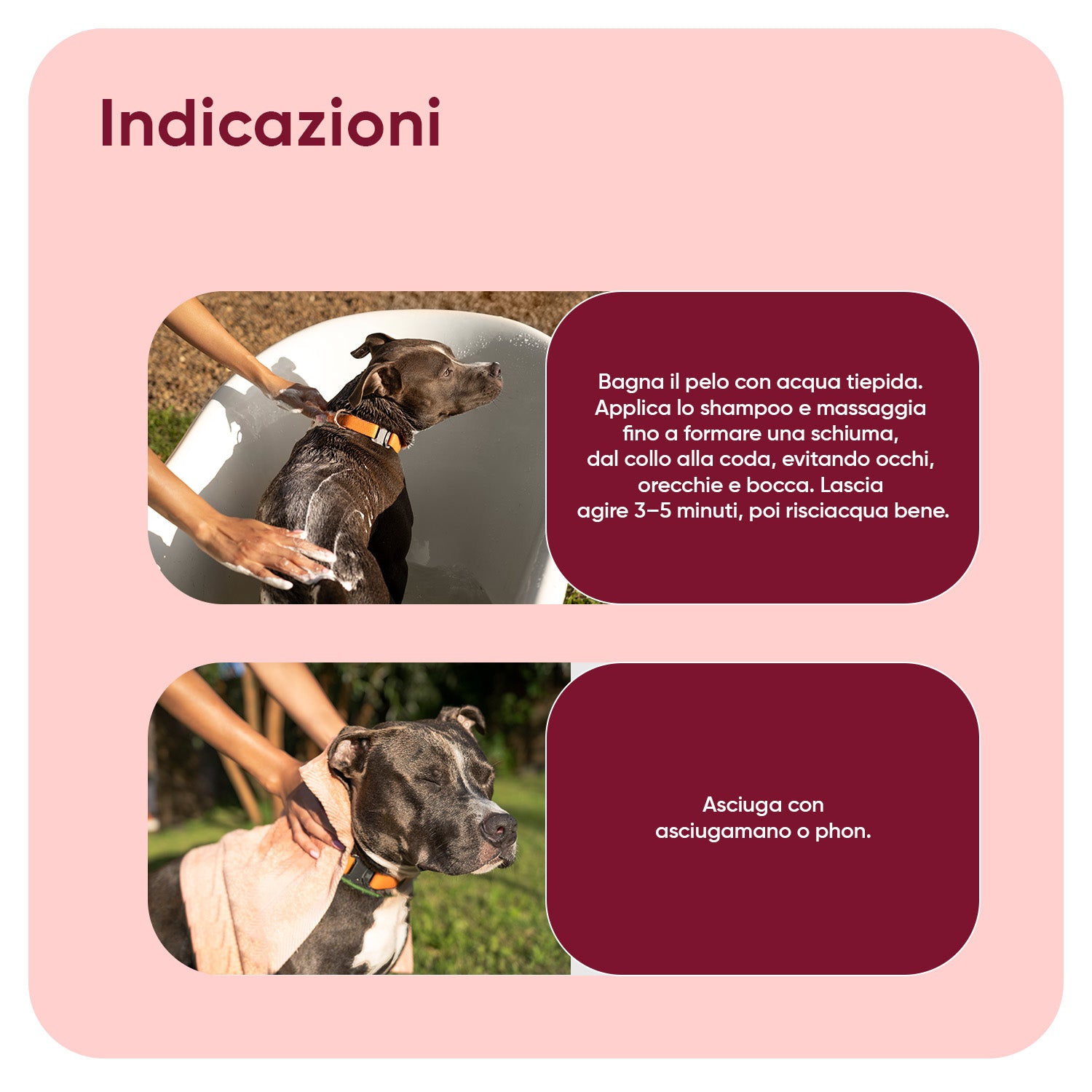 Shampoo antiparassitario per cani 500ml
