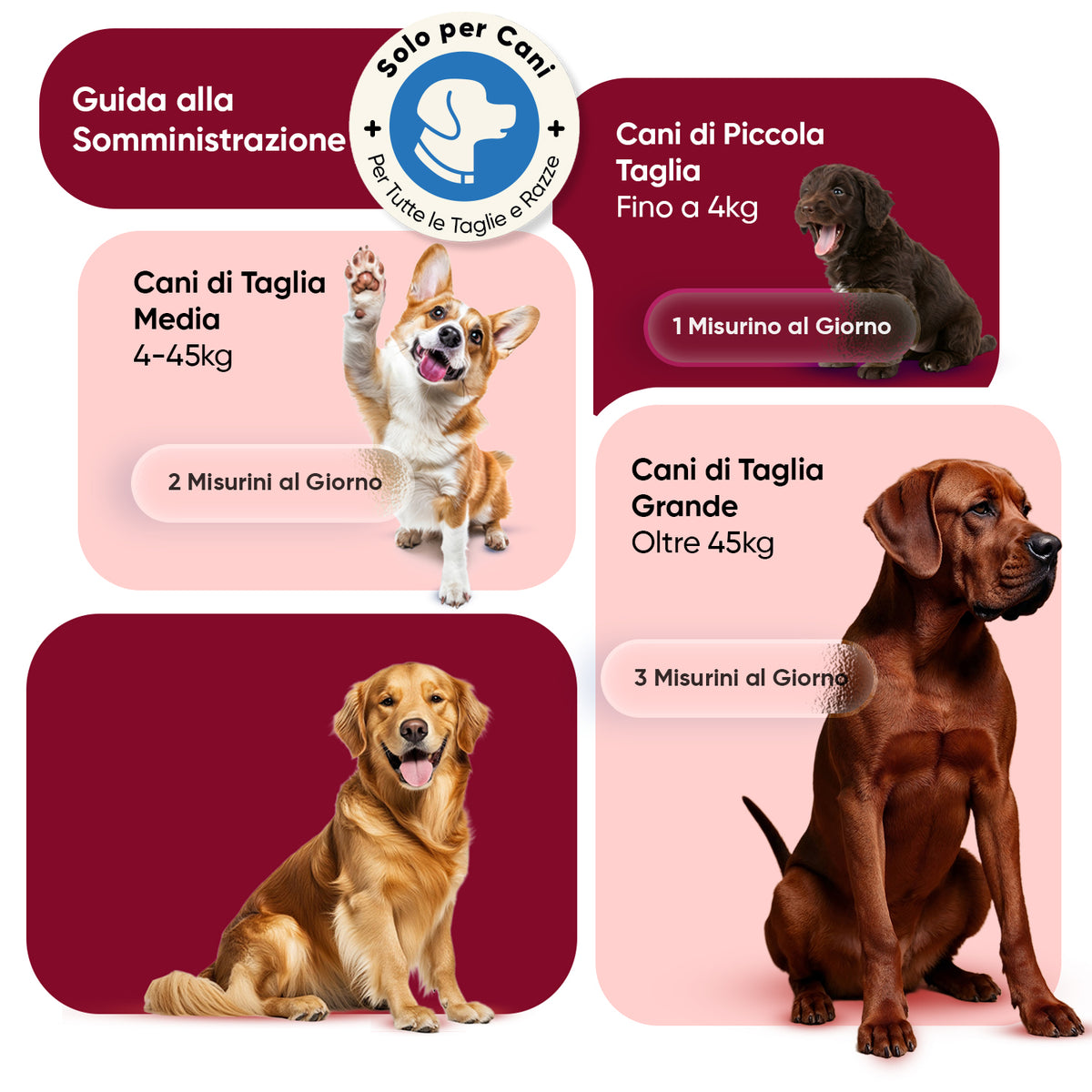 Polvere antipulci e zecche per cani
