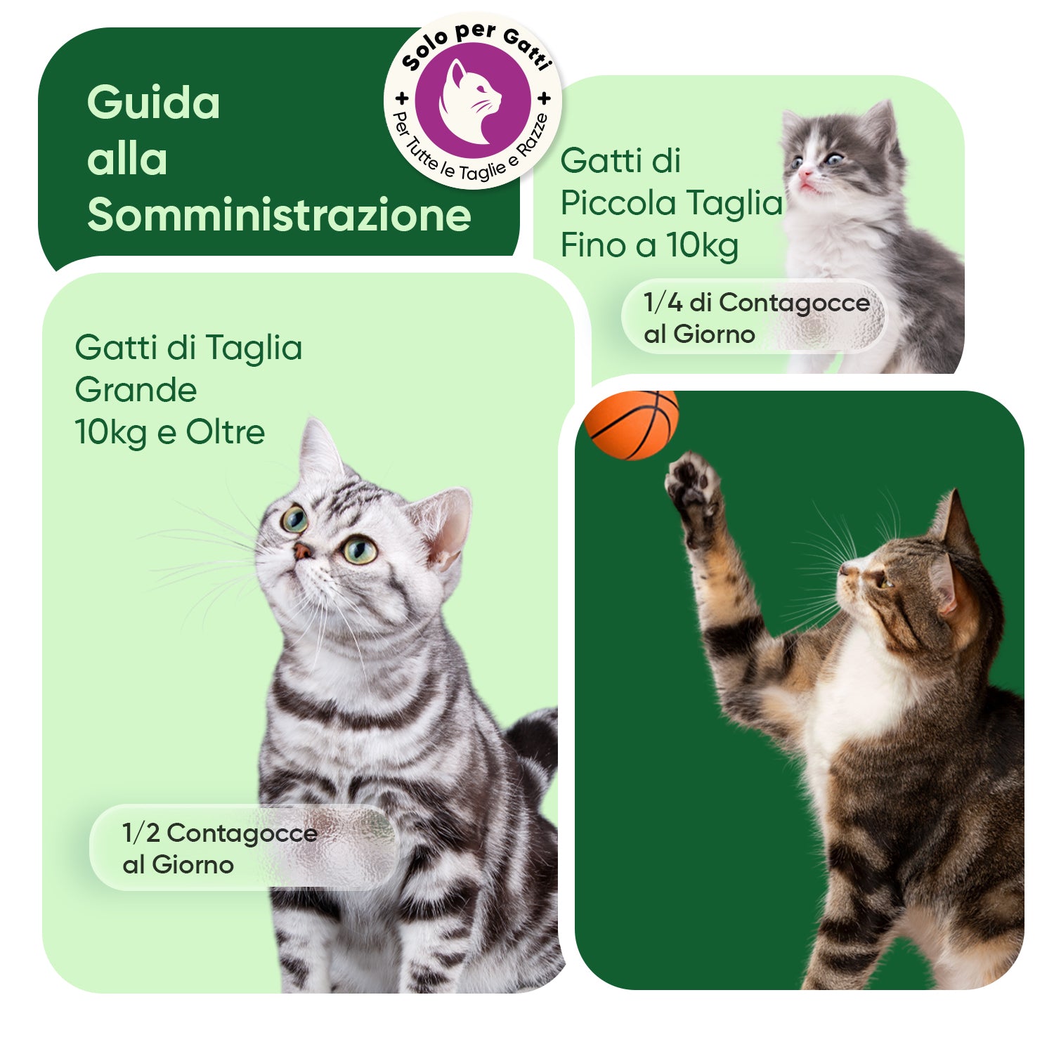 Olio di canapa per gatti 60 ml