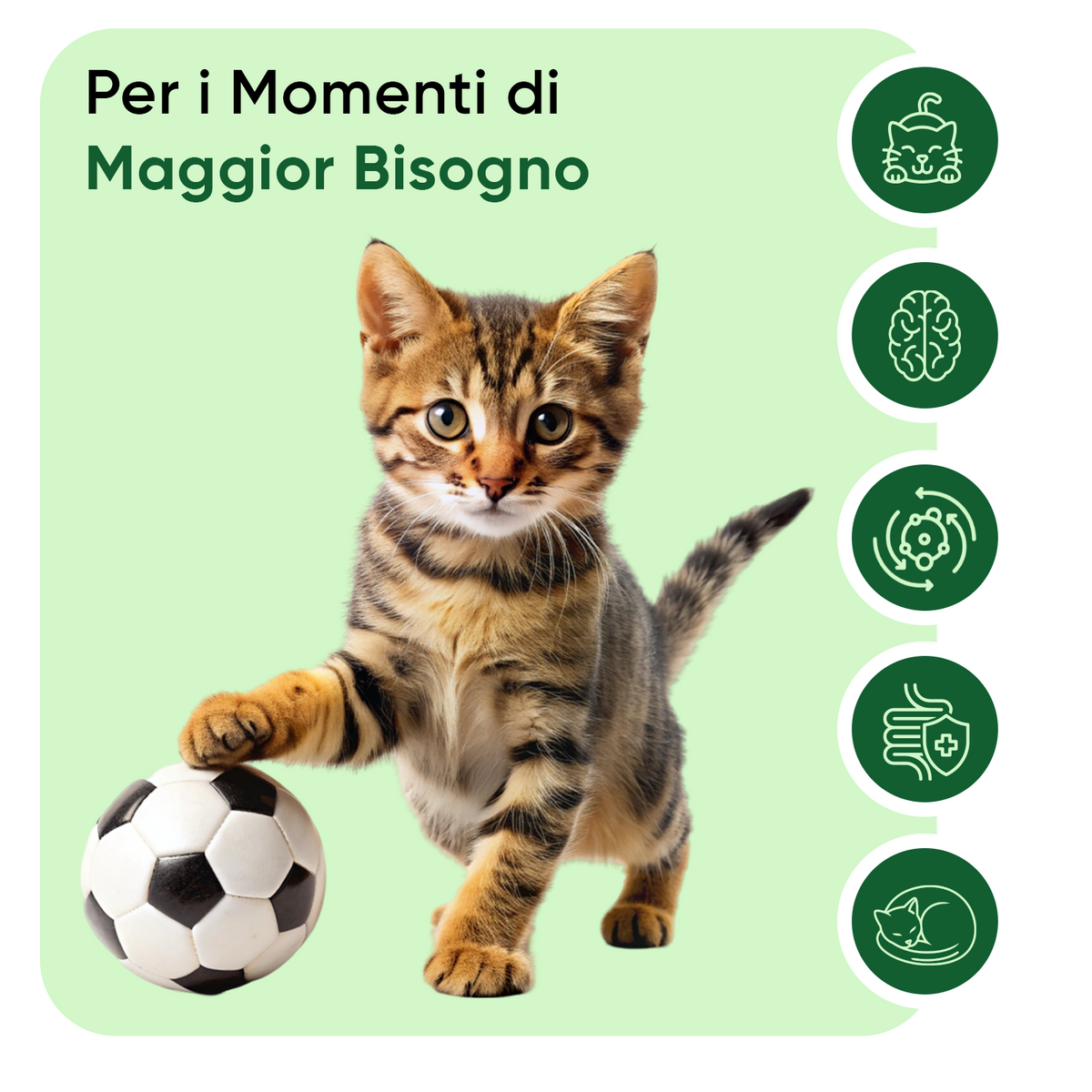 Animigo Gocce Calmanti per Gatti 100 ml