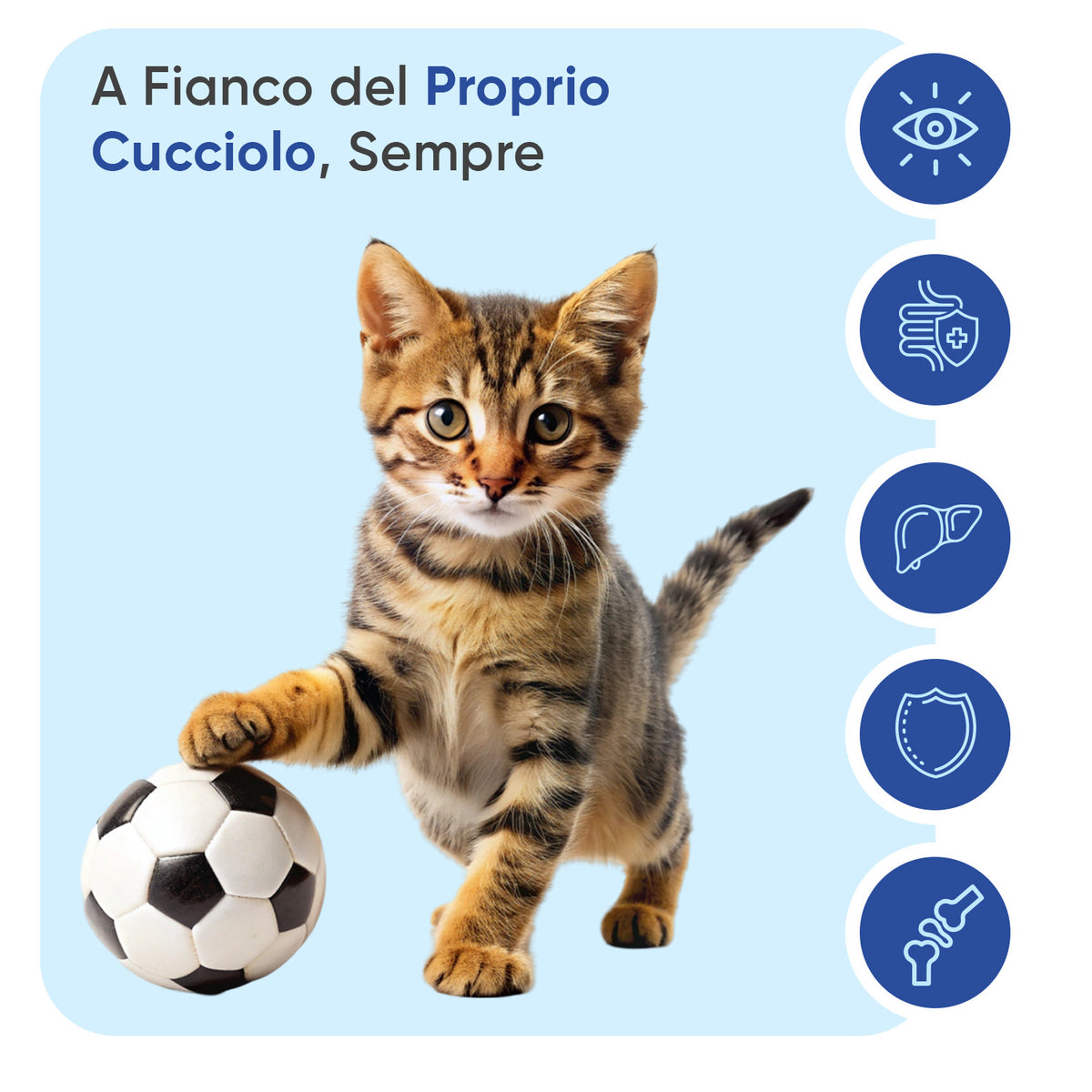 Multivitaminico con minerali per gatti, 120 compresse masticabili morbide