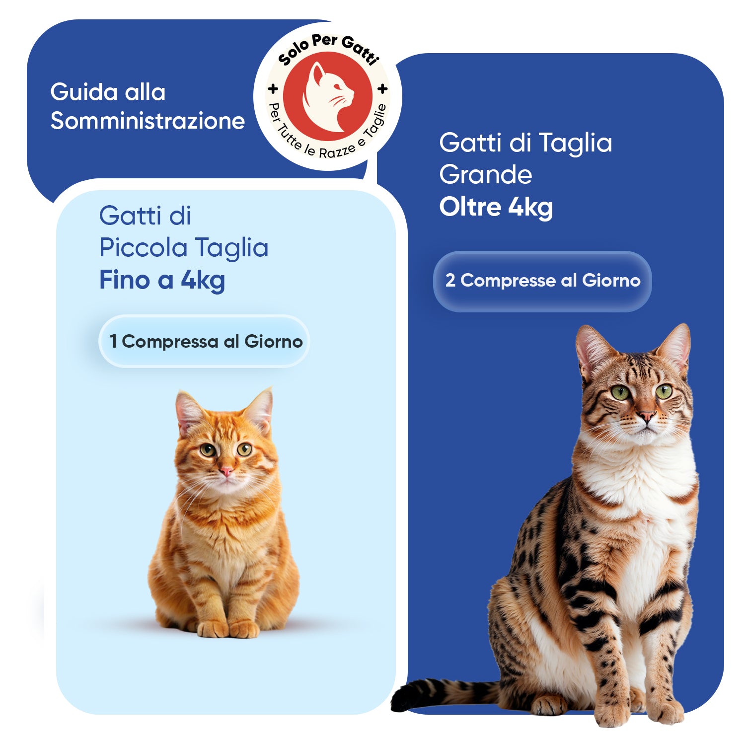Multivitaminico con minerali per gatti, 120 compresse masticabili morbide
