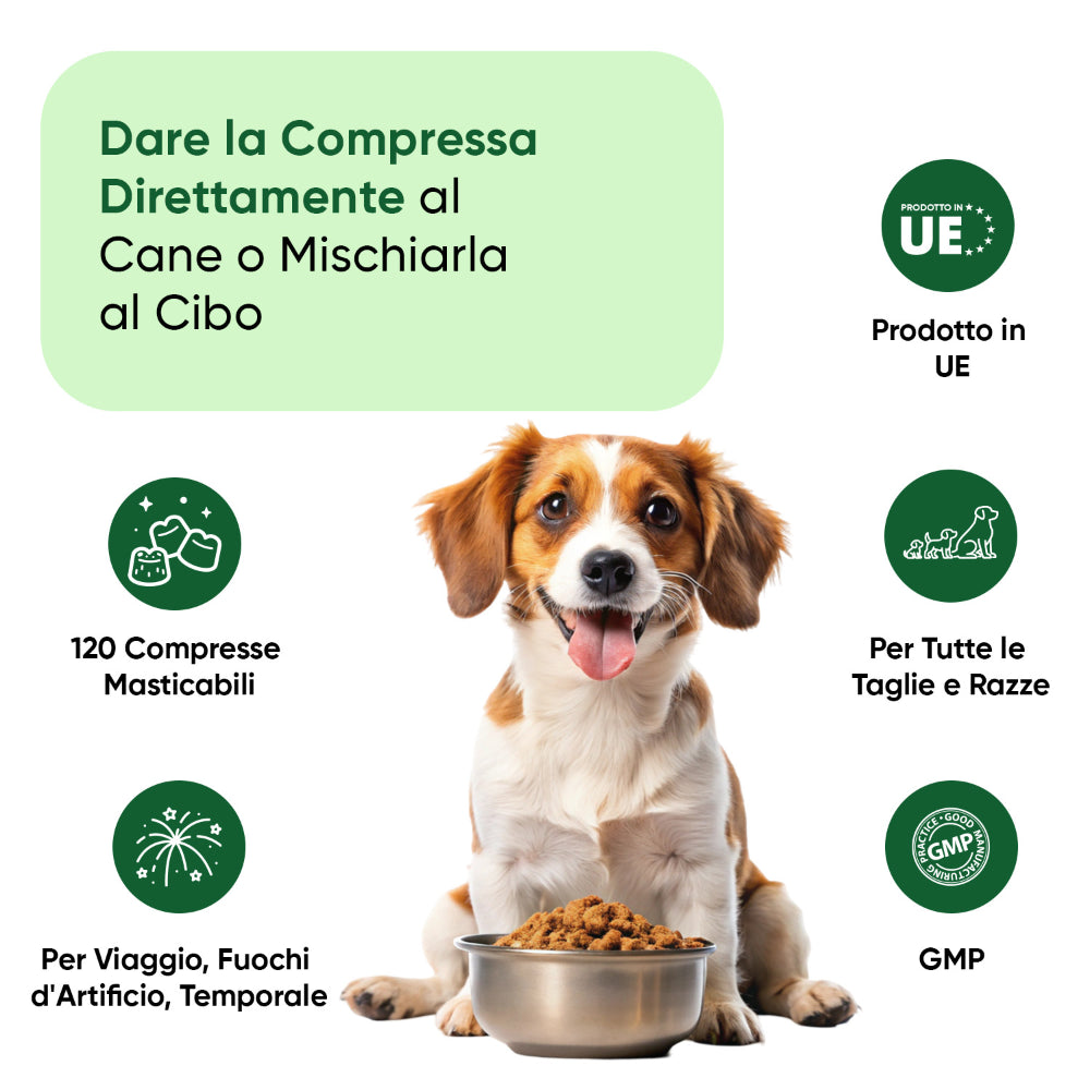 Bocconcini calmanti per cani