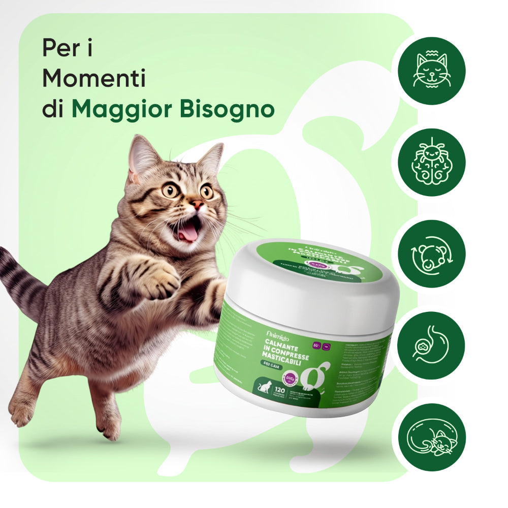 Snack calmanti per gatti