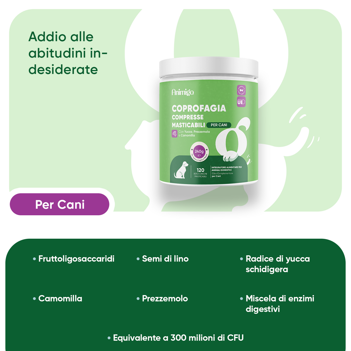 Coprofagia nei cani