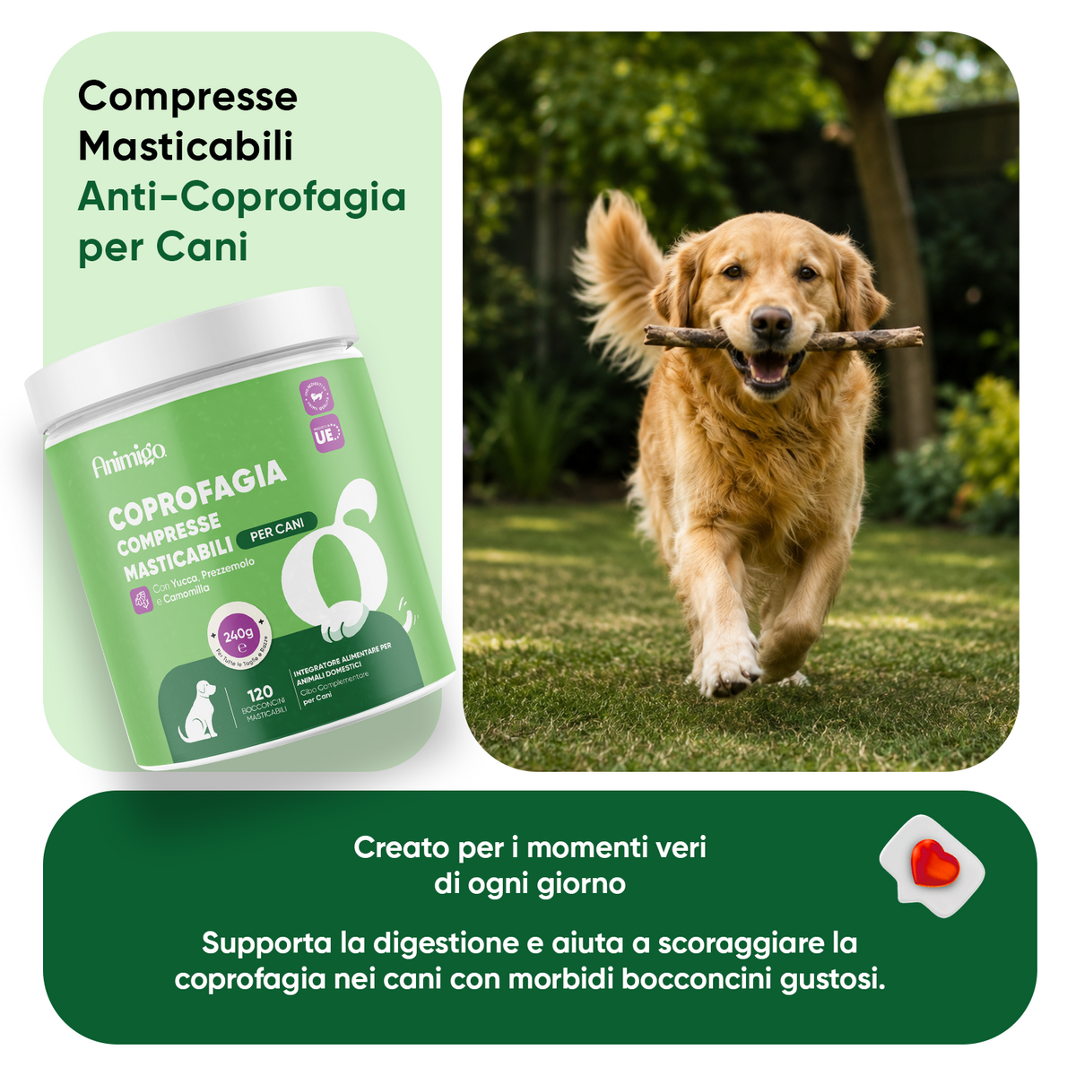 Coprofagia nei cani