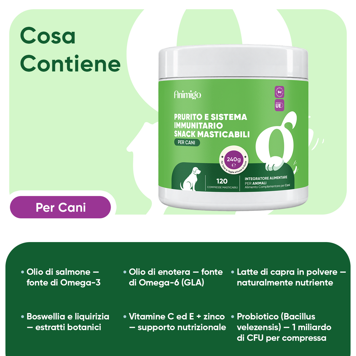 Prurito e sistema immunitario nei cani