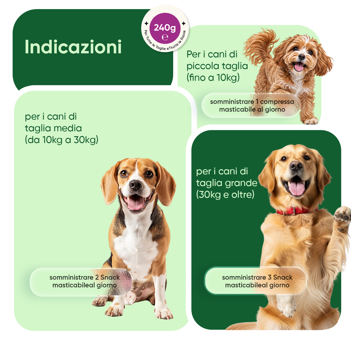 Prurito e sistema immunitario nei cani