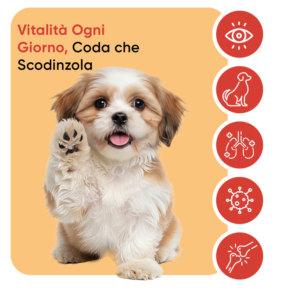 L-lisina per cani, 250 g in polvere