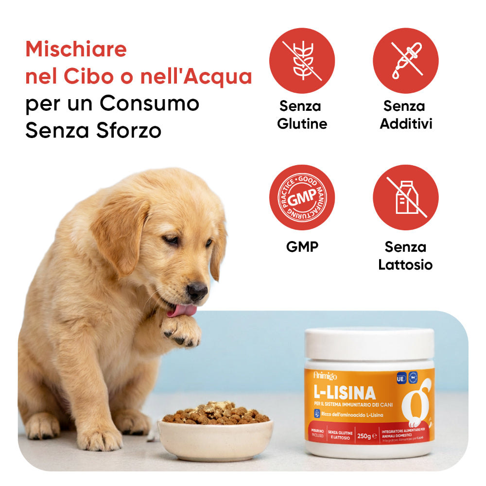 L-lisina per cani, 250 g in polvere