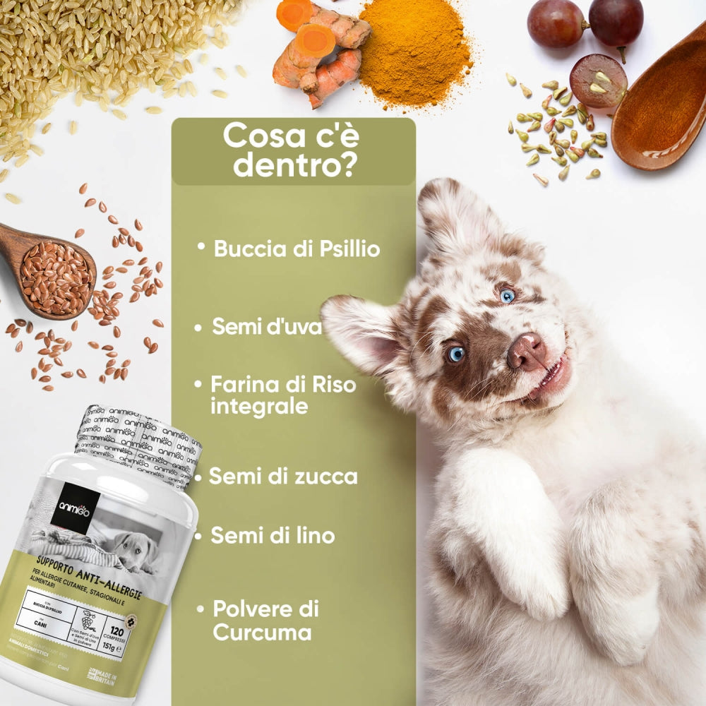 allergy-aid-tab-it-3