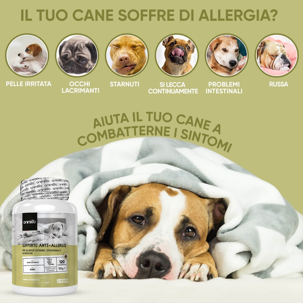 allergy-aid-tab-it-4