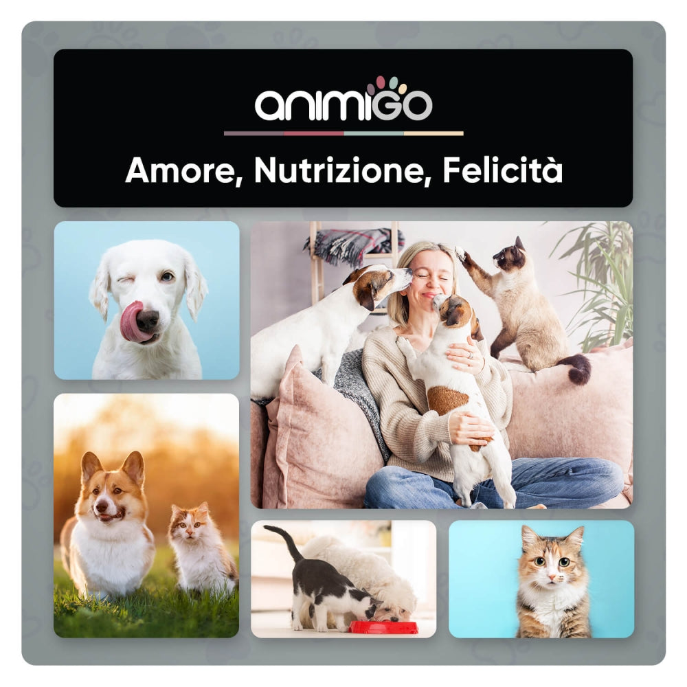 ani-digestive-probiotic-tablets-it-01