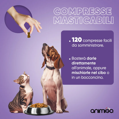 animigo-it-joint-bone-bottle-03