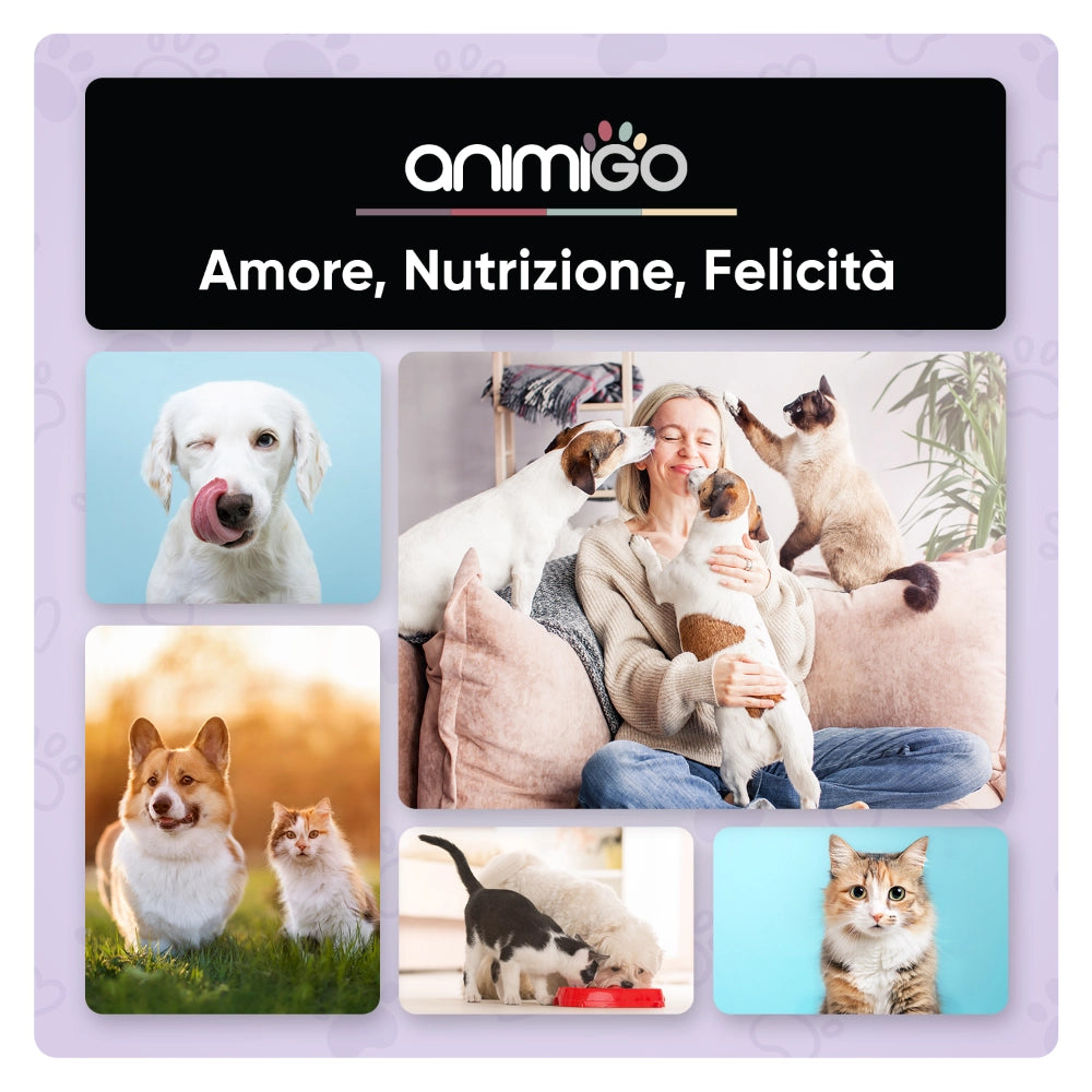 animigo-it-joint-bone-bottle-08