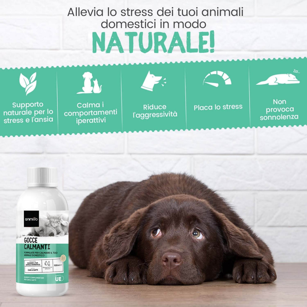 calming-drops-100ml-it-02.jpg