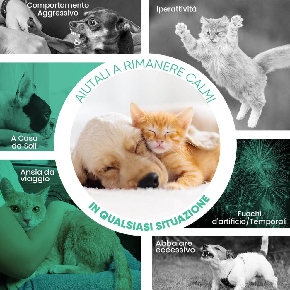 calming-drops-100ml-it-03