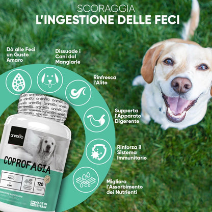 coprophagia-tablet-it--03.jpg