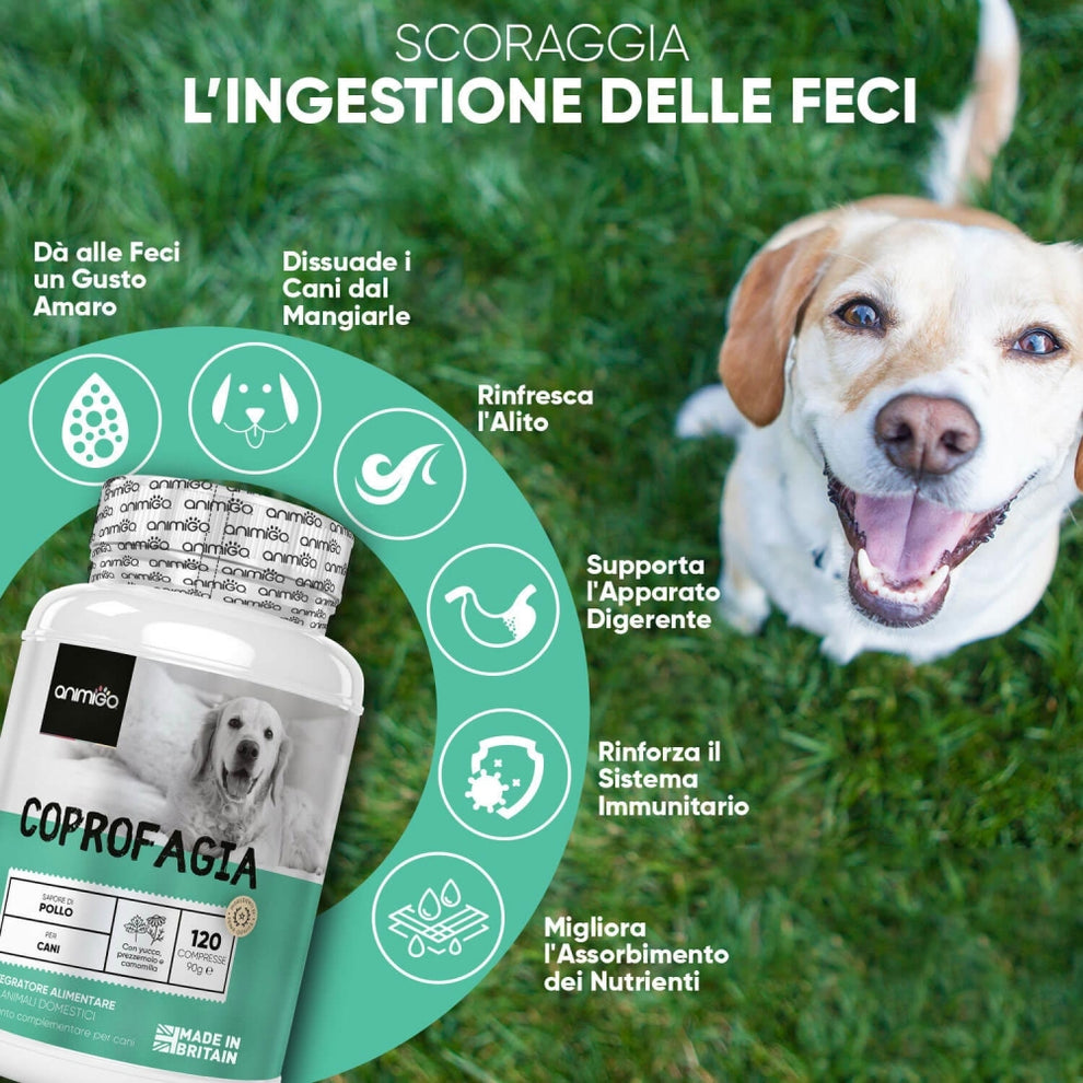 coprophagia-tablet-it--03.jpg