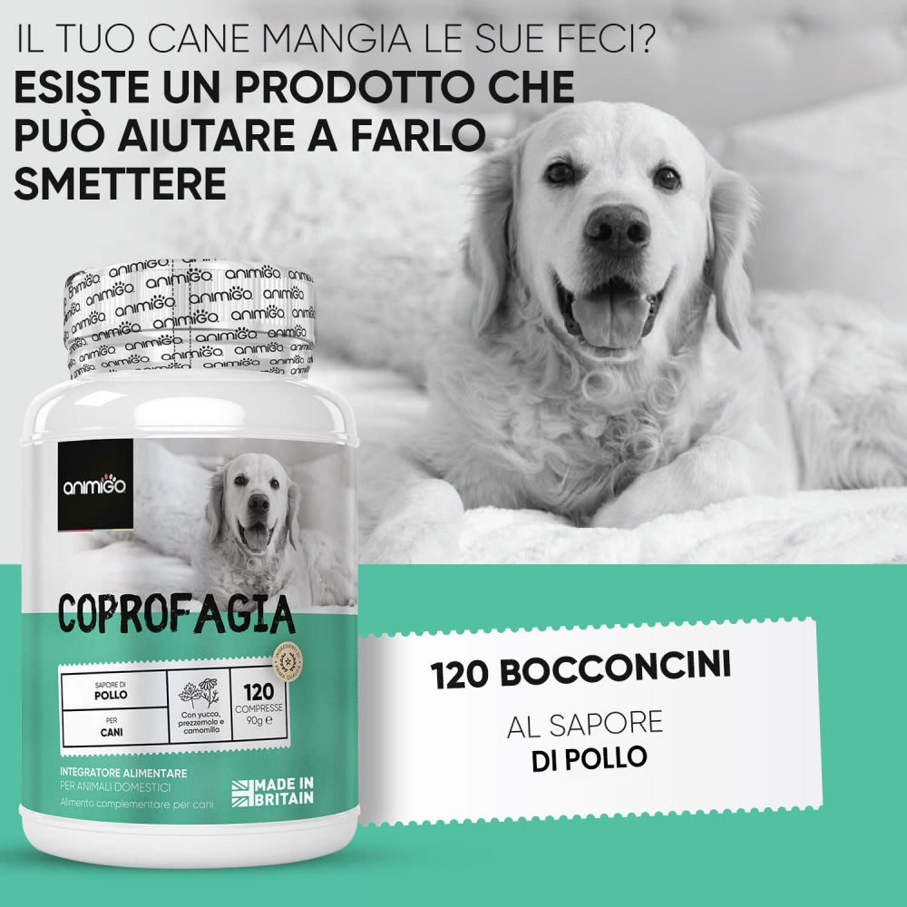 coprophagia-tablet-it--2