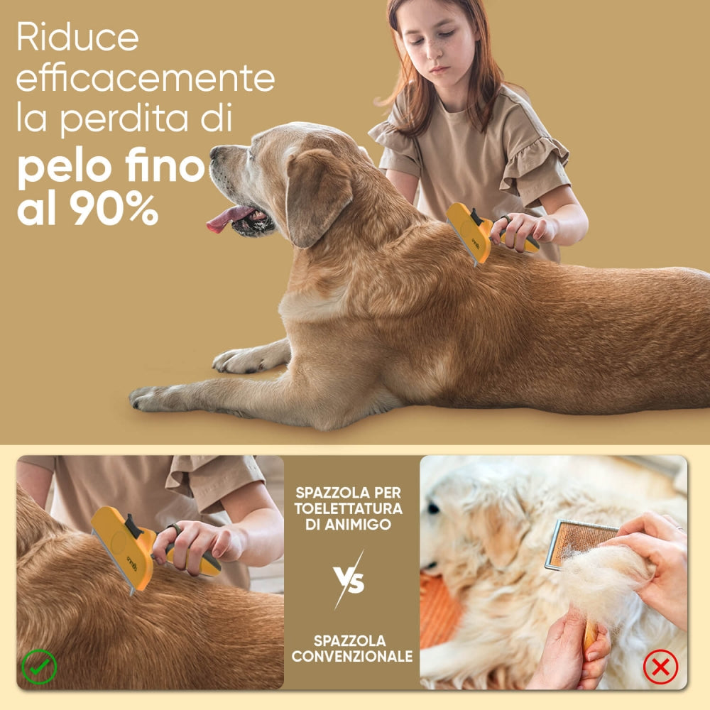 de-shedding-grooming-ani-it-02