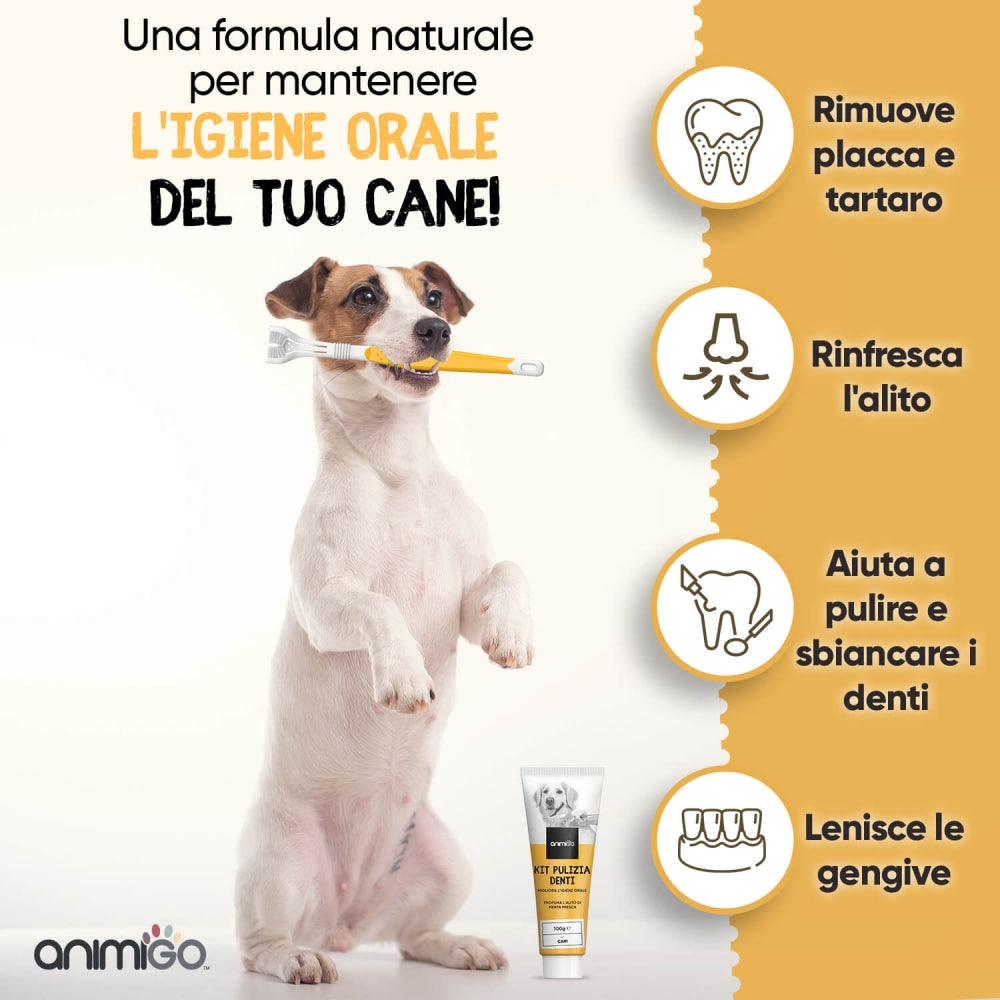 denti-care-kit-it-02