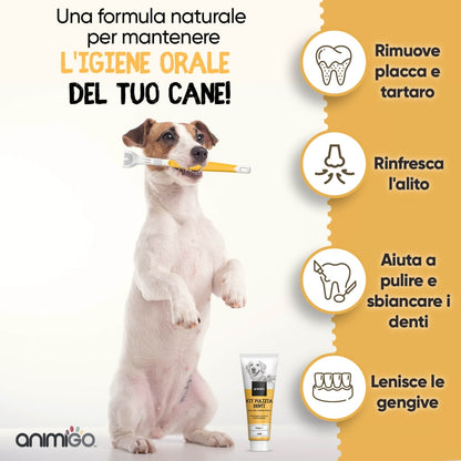 denti-care-kit-it-02.jpg