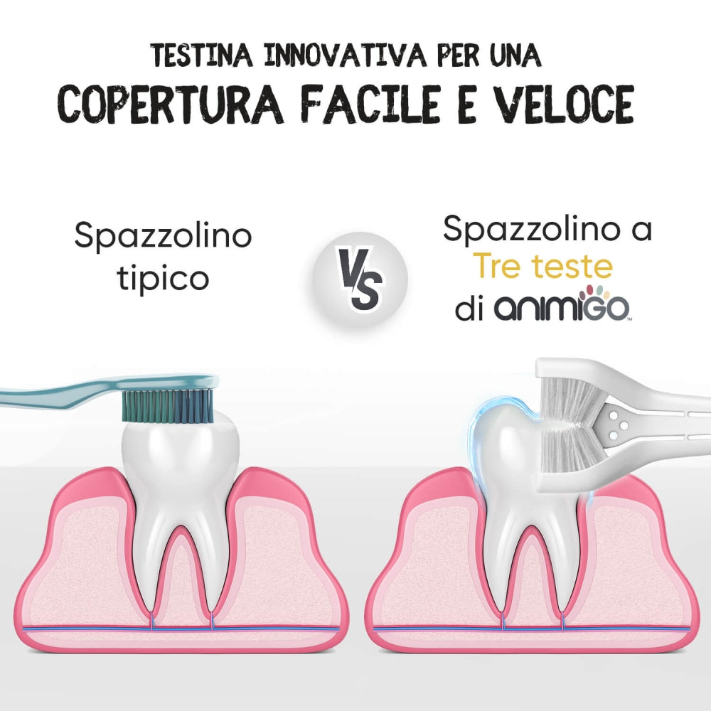 denti-care-kit-it-04