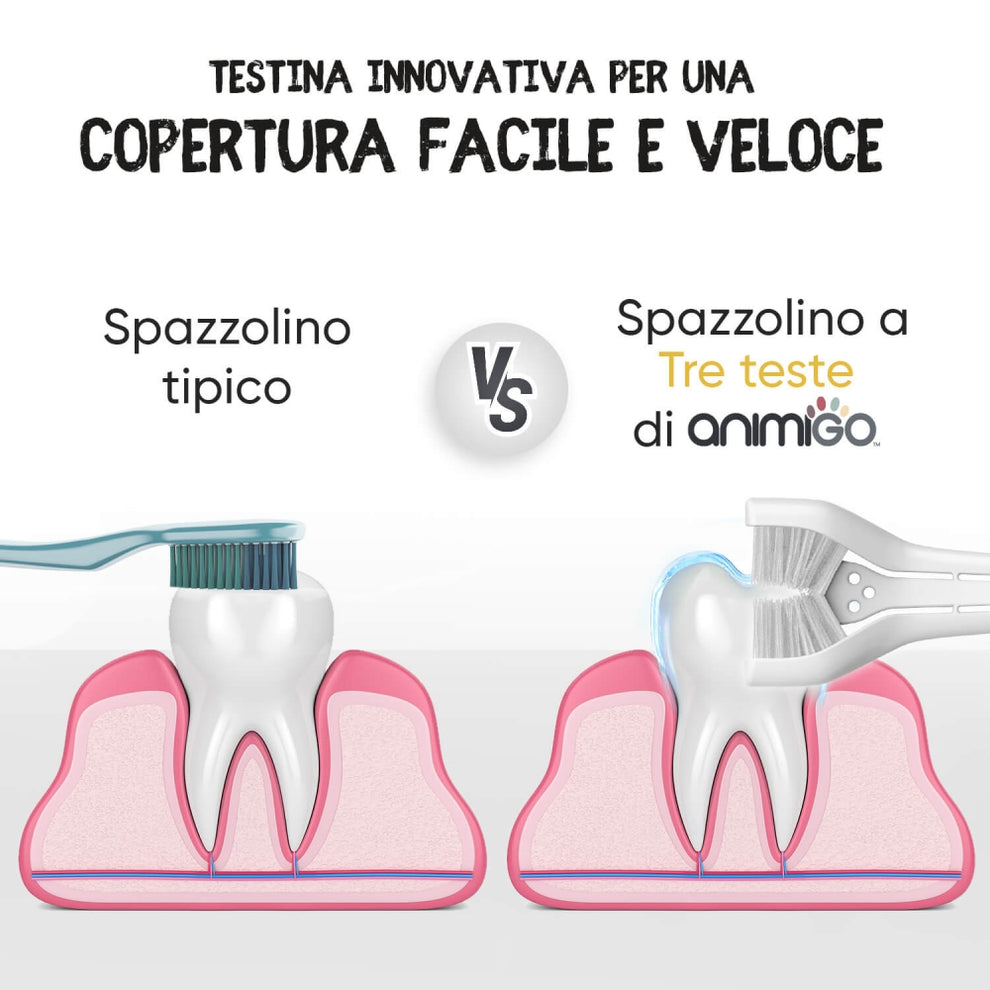 denti-care-kit-it-04.jpg