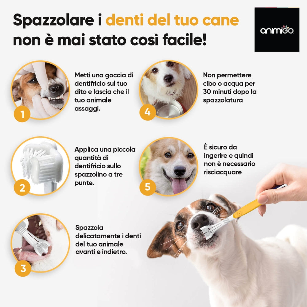 denti-care-kit-it-05
