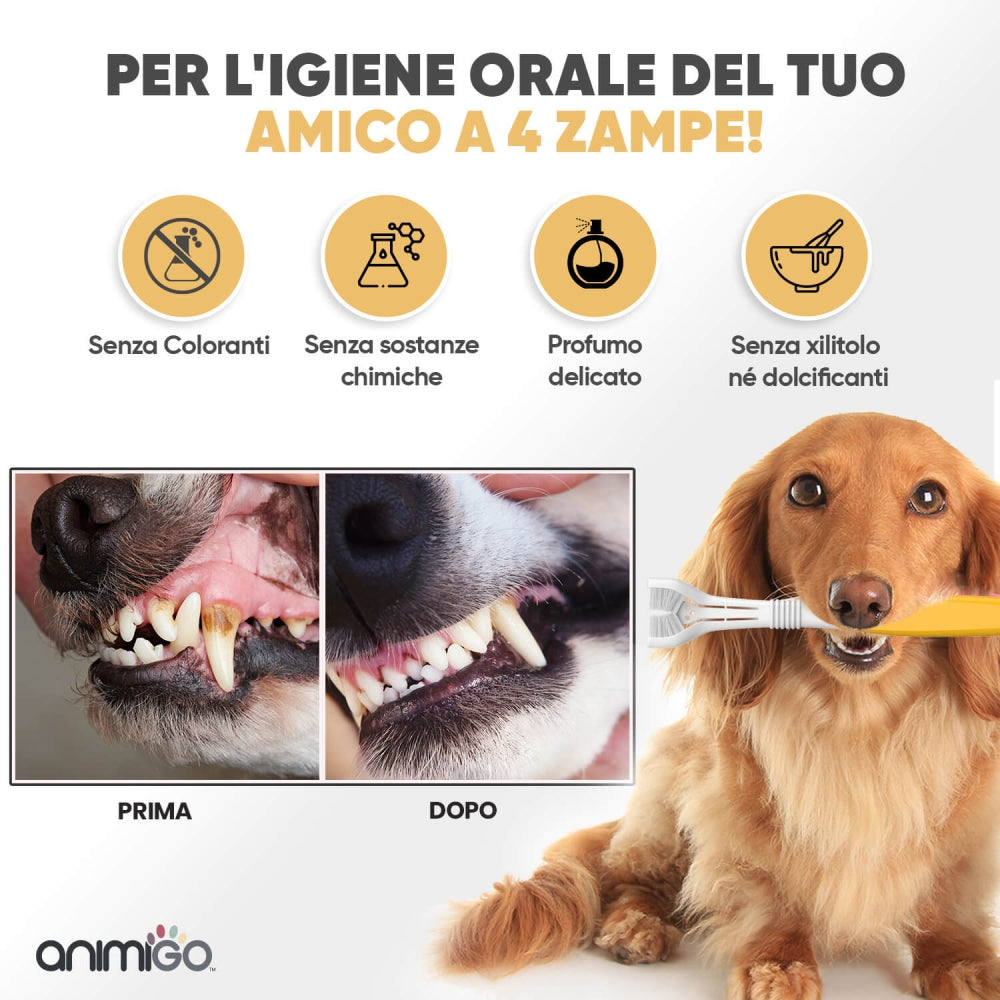 denti-care-kit-it-06