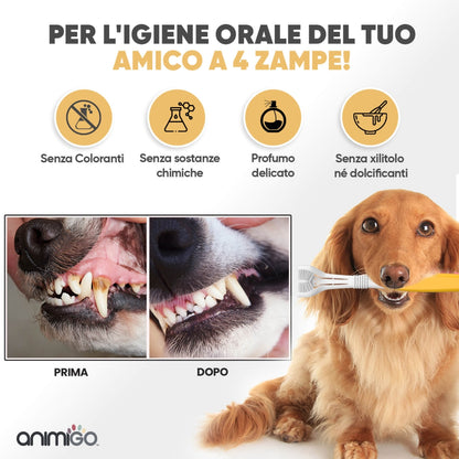denti-care-kit-it-06.jpg