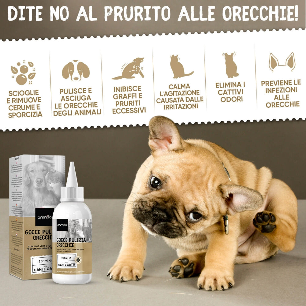 ear-cleaner-it-02