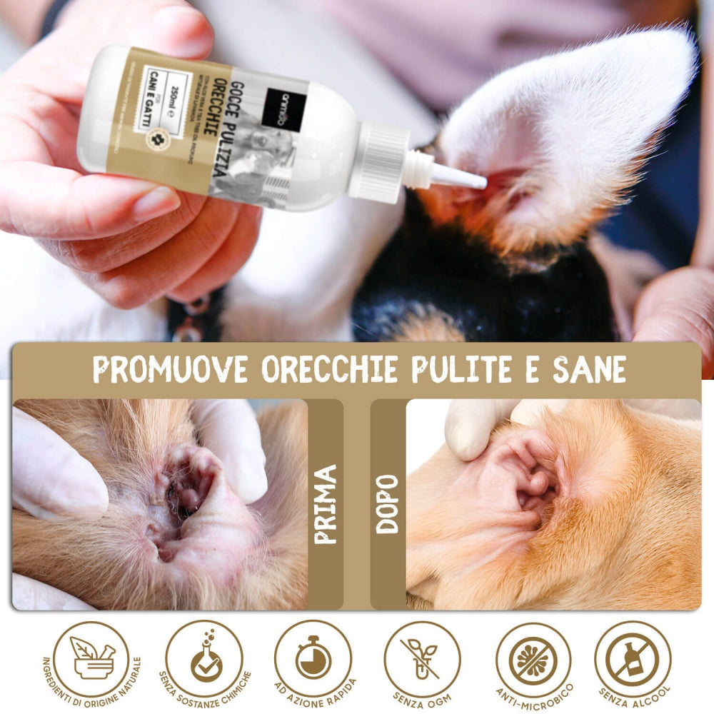 ear-cleaner-it-04