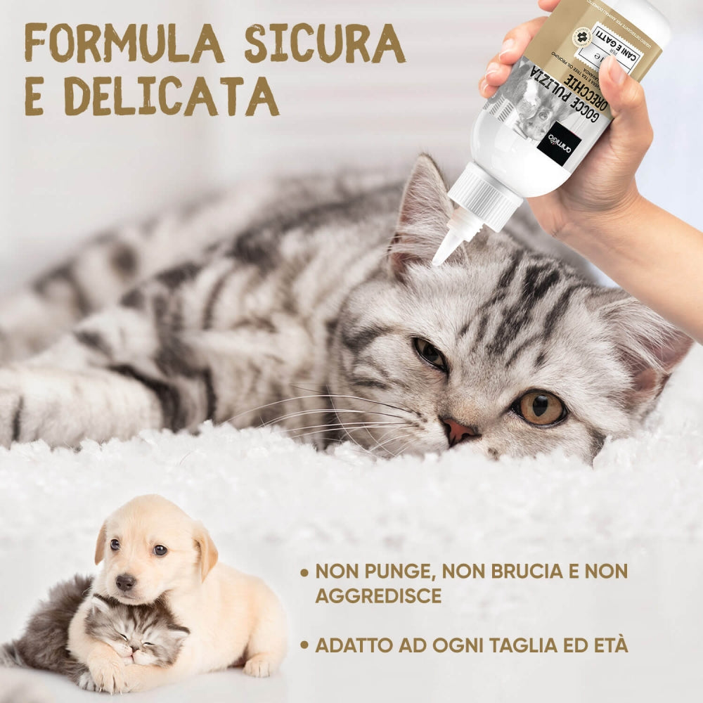 ear-cleaner-it-06
