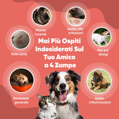 flea-and-tick-control-spray-it-4